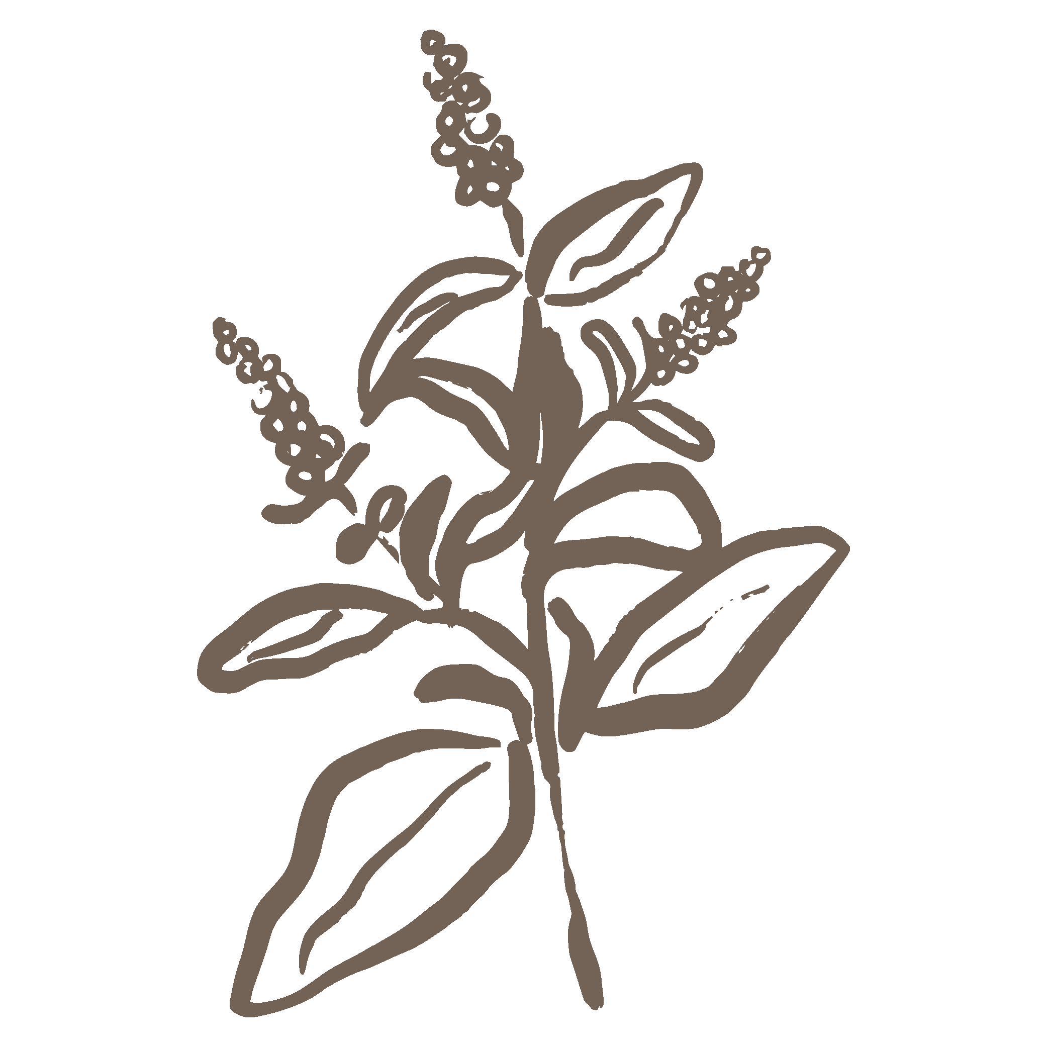 natural ingredients and flower illustration